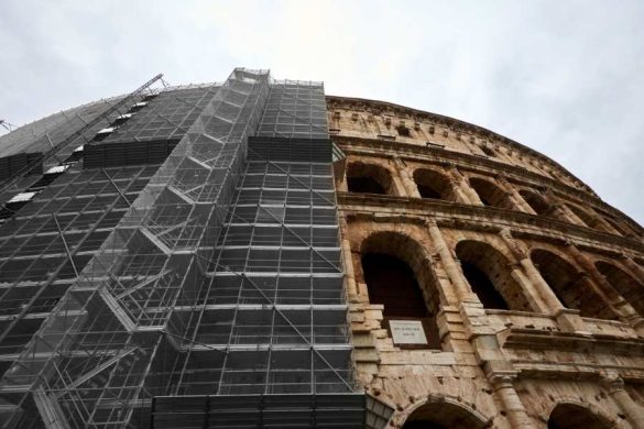 Historic Colosseum under restoration scaffolding contrasting with wildlife rehabilitation tourism