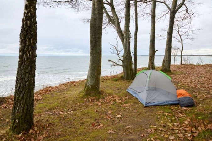 A tent pitched under trees near the ocean for a next coastal adventure.